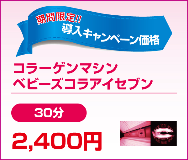 導入キャンペーン価格 導入キャンペーン価格