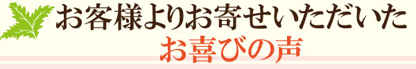 ql肨񂹂т̐